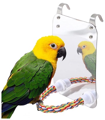 Oglinda pentru papagali