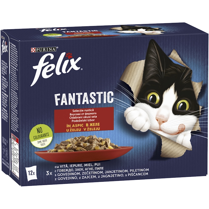 Felix pisici